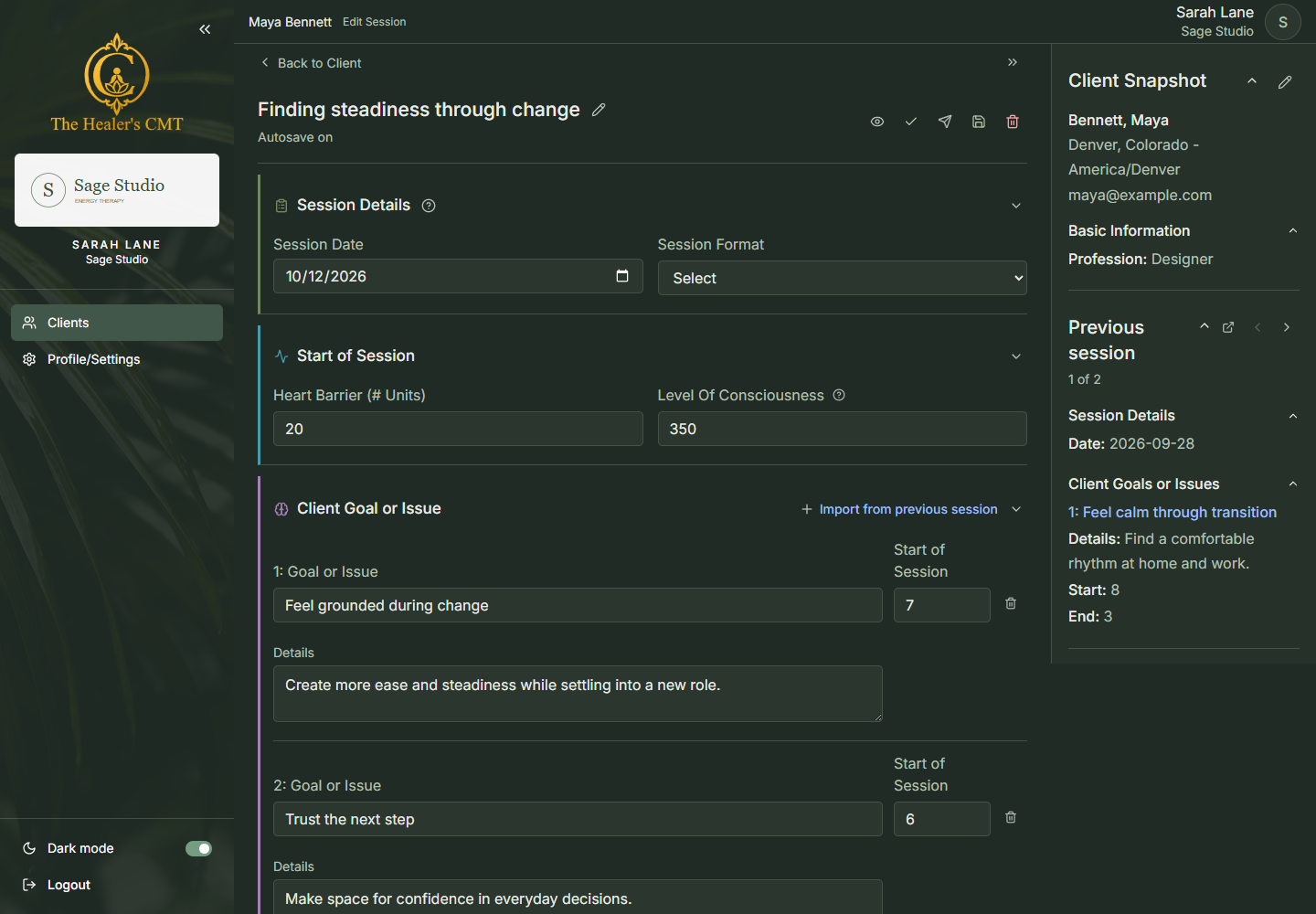 Direct screenshot of the real CMT session editor showing goals, session details, and the client snapshot
